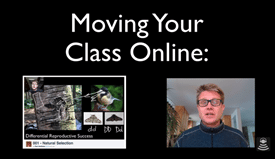 Moving Your Class Online: A Survival Guide for Teachers 